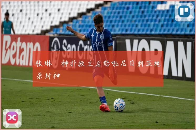 张琳芃神扑救主后怒吼尼日利亚绝杀封神