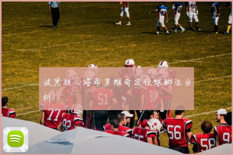 波黑核心塔希罗维奇定位球脚法分析
