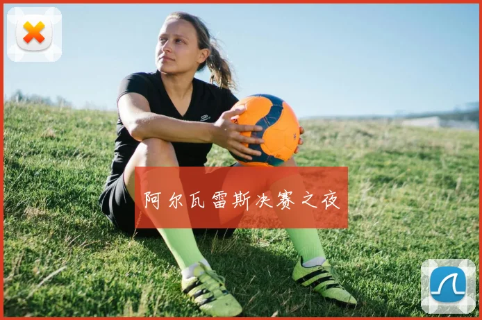 阿尔瓦雷斯决赛之夜