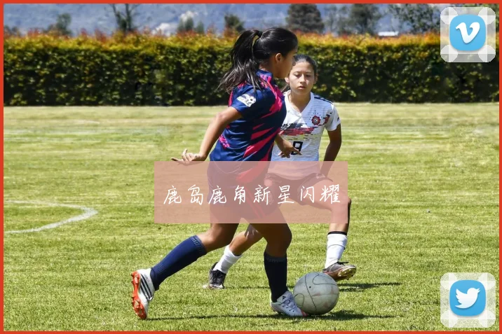 鹿岛鹿角新星闪耀