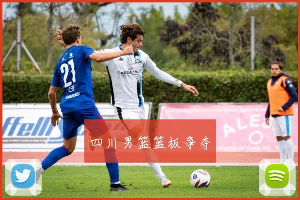 四川男篮篮板争夺