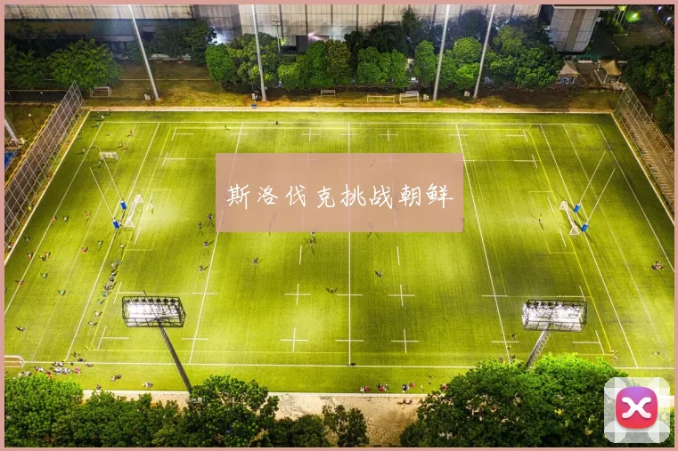 斯洛伐克挑战朝鲜