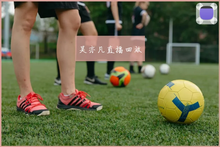 吴亦凡直播回放
