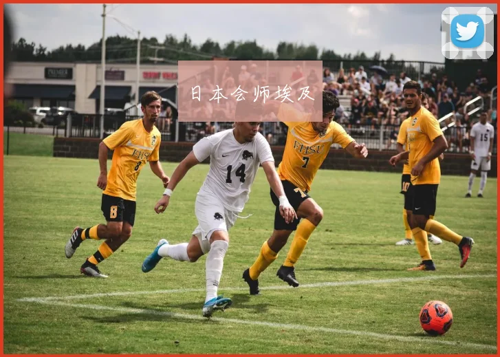 日本会师埃及