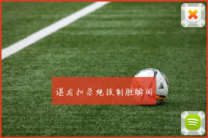 谌龙扣杀绝技制胜瞬间