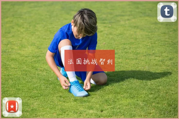 法国挑战智利