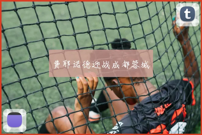 费耶诺德迎战成都蓉城