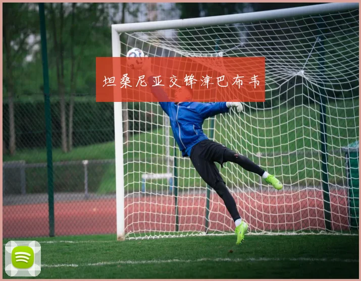 坦桑尼亚交锋津巴布韦