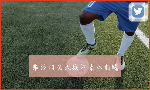 弗拉门戈大战河南队前瞻