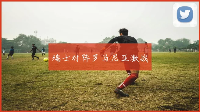 瑞士对阵罗马尼亚激战