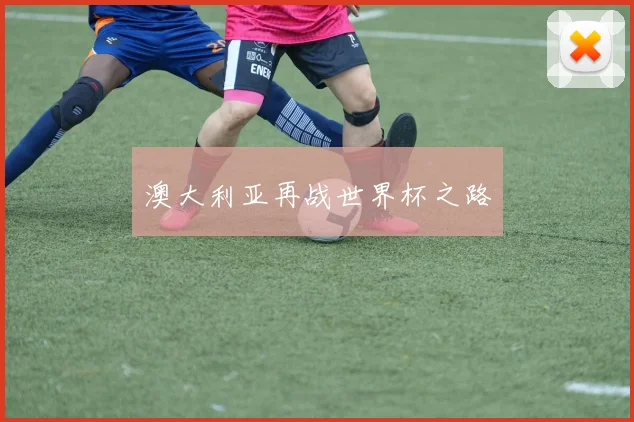 澳大利亚再战世界杯之路