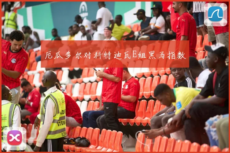 厄瓜多尔对科特迪瓦E组黑马指数