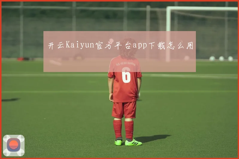 开云Kaiyun官方平台app下载怎么用