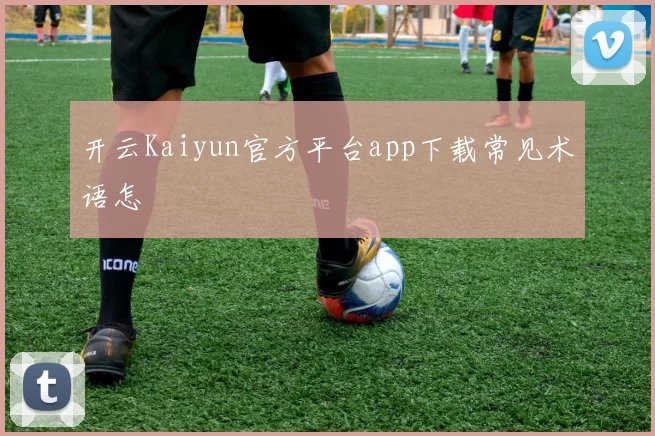 开云Kaiyun官方平台app下载常见术语怎