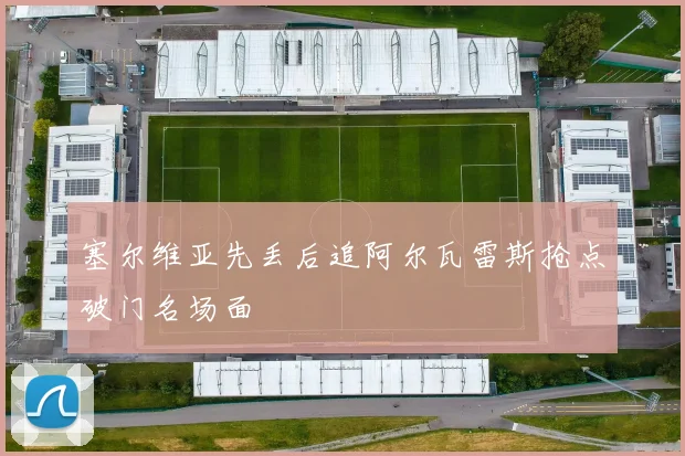 塞尔维亚先丢后追阿尔瓦雷斯抢点破门名场面