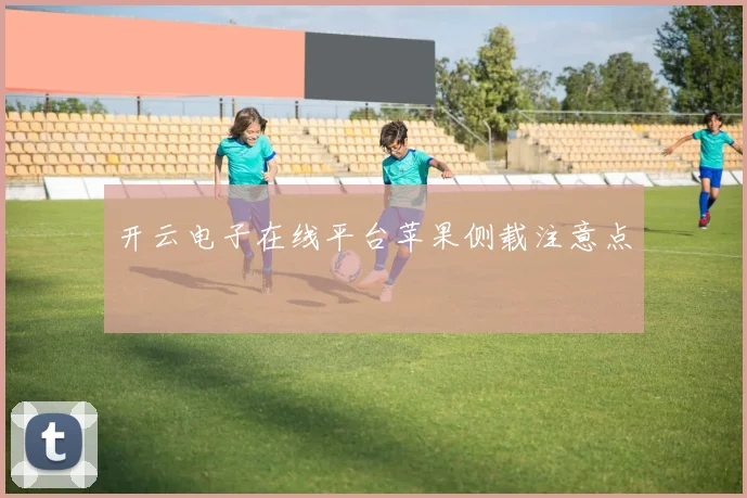 开云电子在线平台苹果侧载注意点