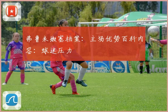弗鲁米嫩塞档案:主场优势百科内容:球迷压力